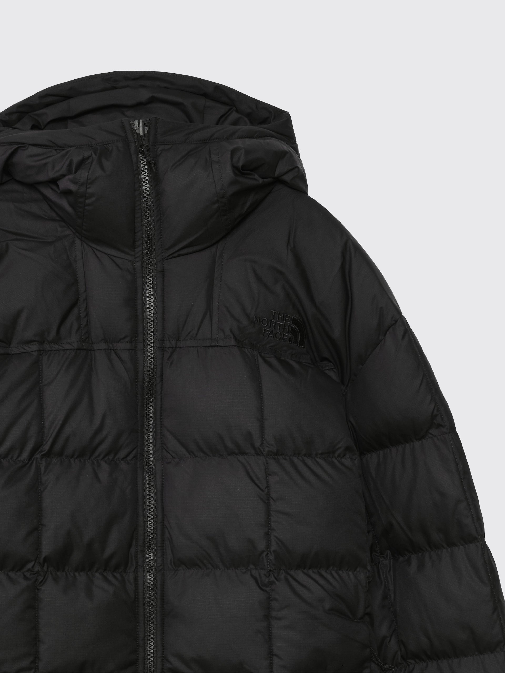 Men's vistaview down coat online