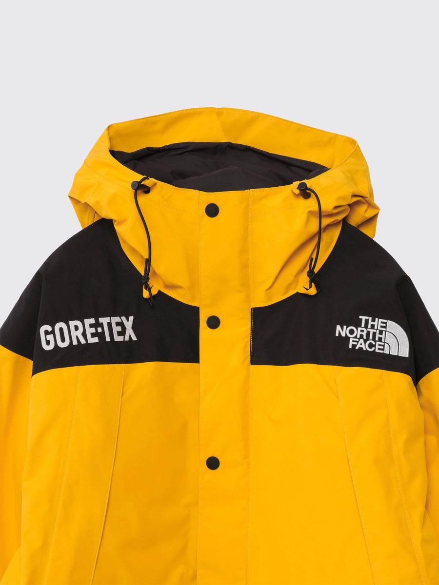 GTX Mountain Guide Insulated Jacket