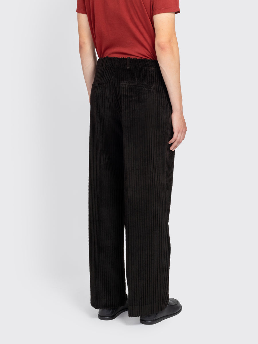 Borrowed Chino