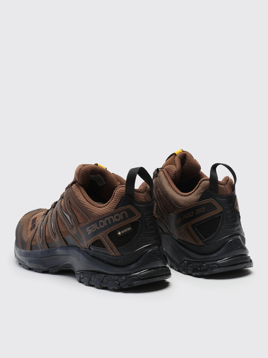 Salomon XA Pro 3D Gore-Tex