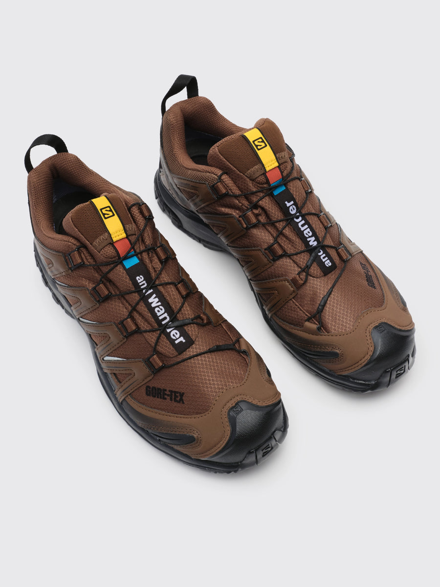 Salomon XA Pro 3D Gore-Tex