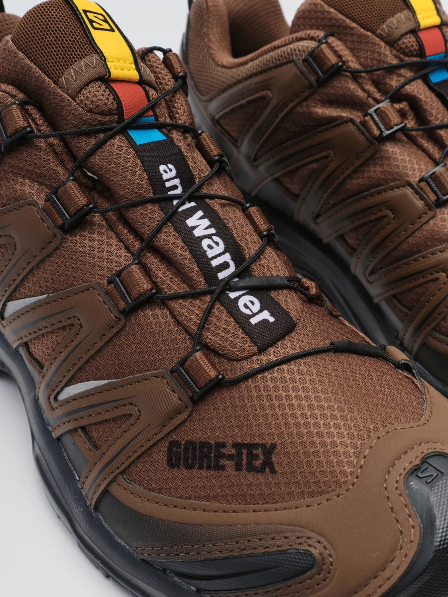 Salomon XA Pro 3D Gore-Tex